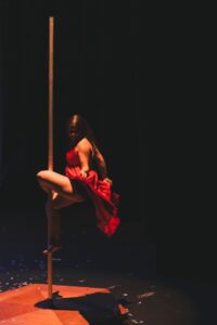 Pole Dance Dijon Stargazer